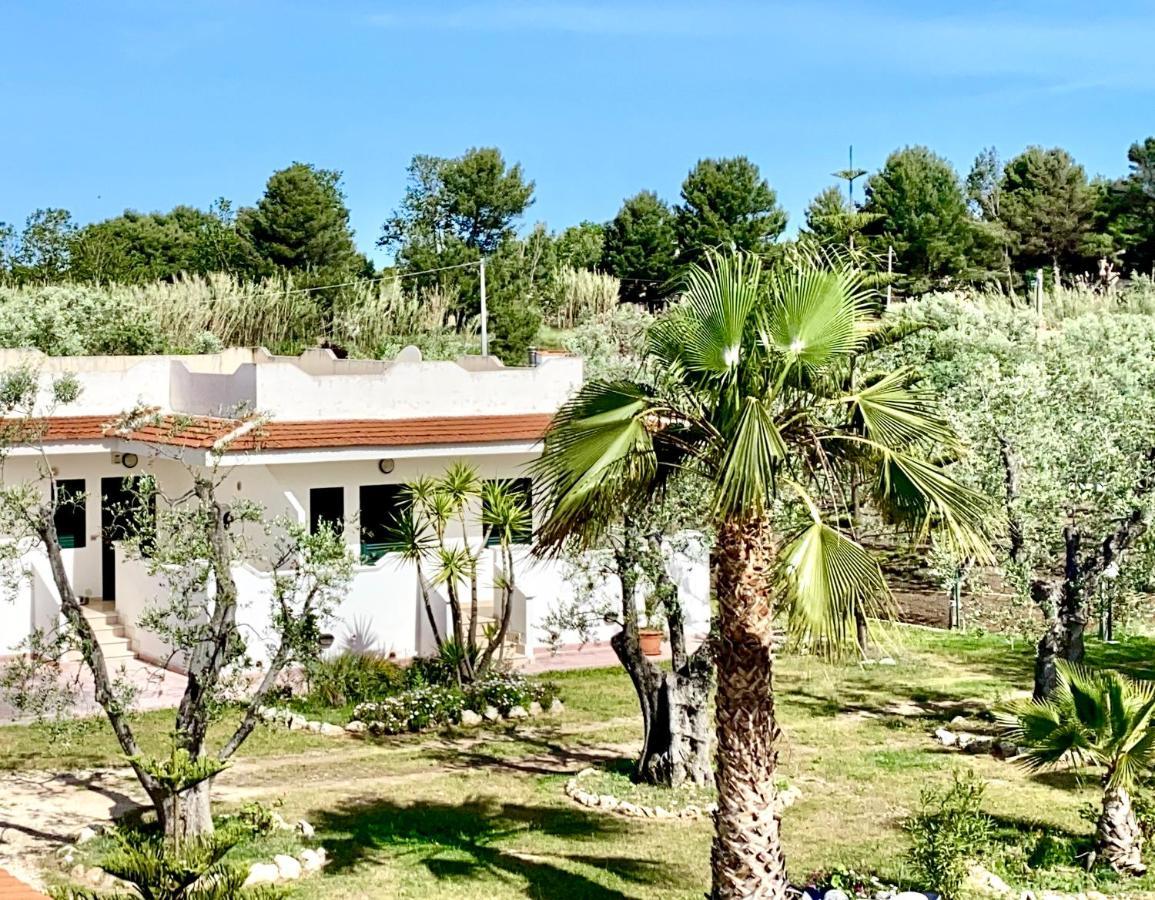 Villa Angela Case Vacanza فيستَ المظهر الخارجي الصورة