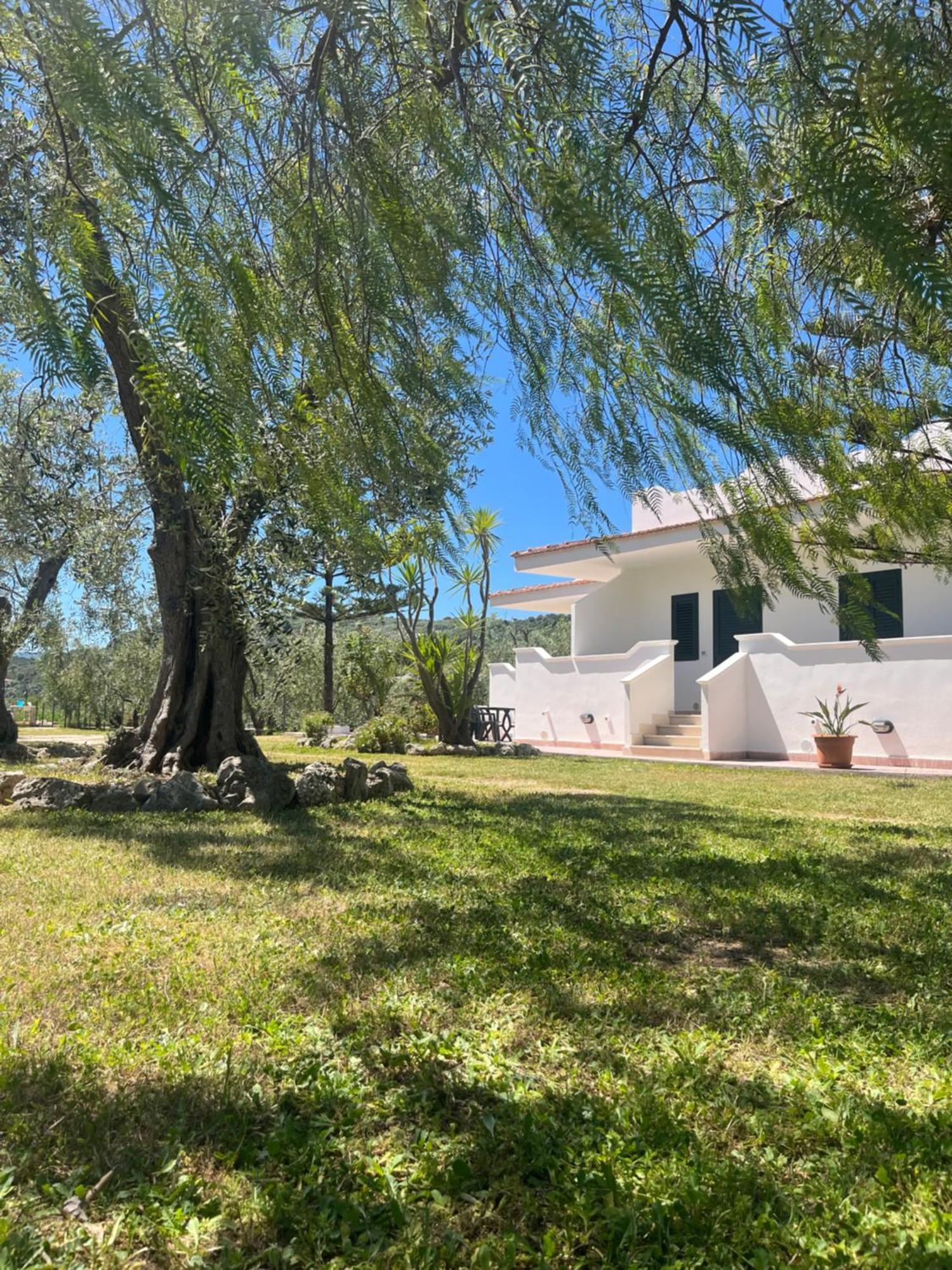 Villa Angela Case Vacanza فيستَ المظهر الخارجي الصورة
